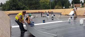 Montator Acoperișuri Plane / Flat Roofer Olanda